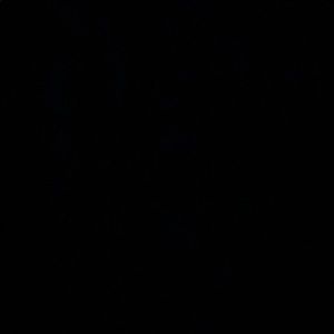 Meet your Posher, Kalee